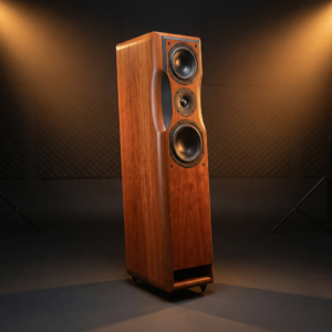 Chario Constellation Delphinus